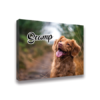 16" x 20" Canvas Prints Scamp