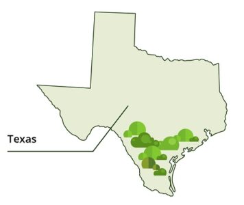 Texas thornscrub tree range
