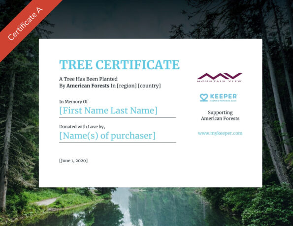 MTN_Certificate-A